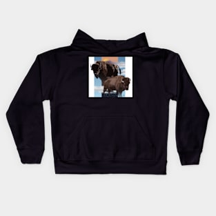 Bison Kids Hoodie